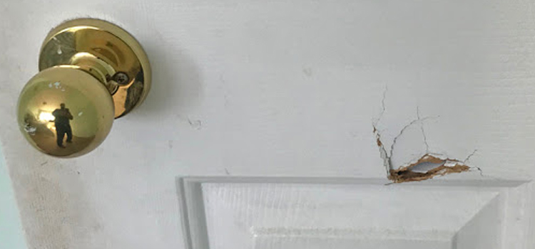 interior door hole repair Novato