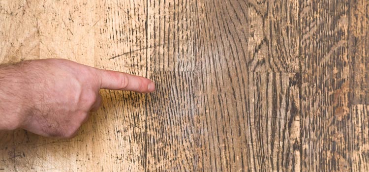 Wood Door Scratch Repair in Novato